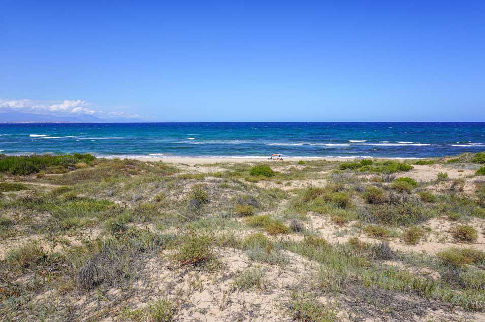 Playa-del-Carabassi---playas-bonitas