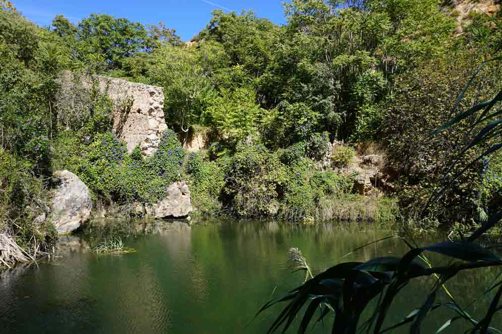 vista a la zona verde de el salto de chella