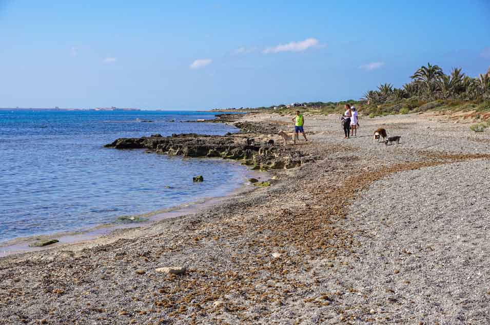 Como llegar a Playa-del-Carabassi---playas-bonitas