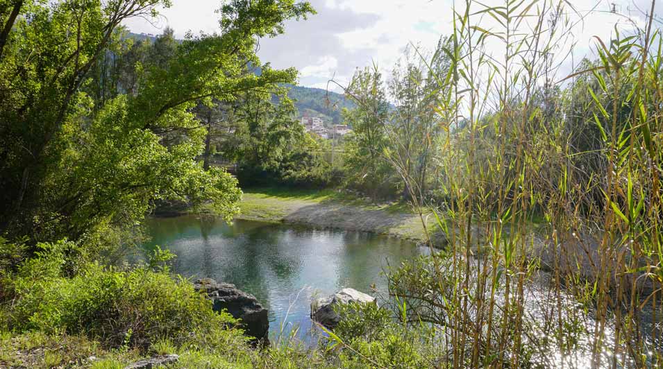 piscina natural ‘El Pozo‘