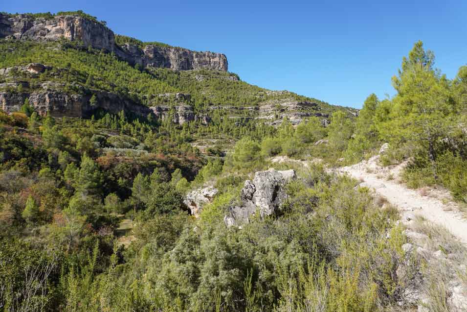 ruta barranco arroyo de cortes