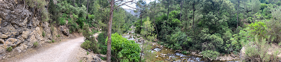 rio borosa como llegar