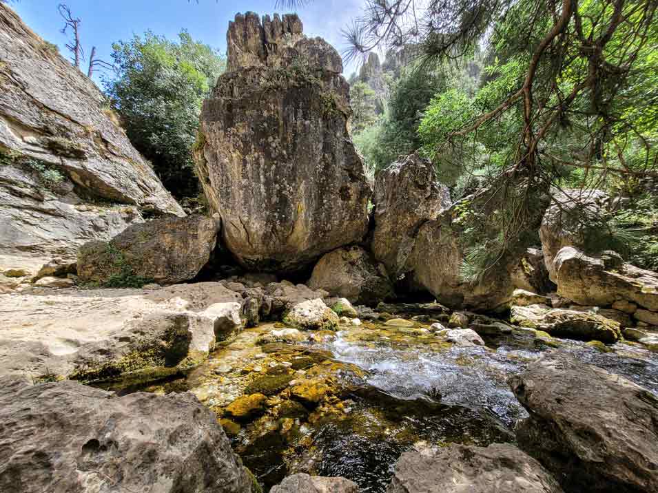 Nacimiento rio borosa