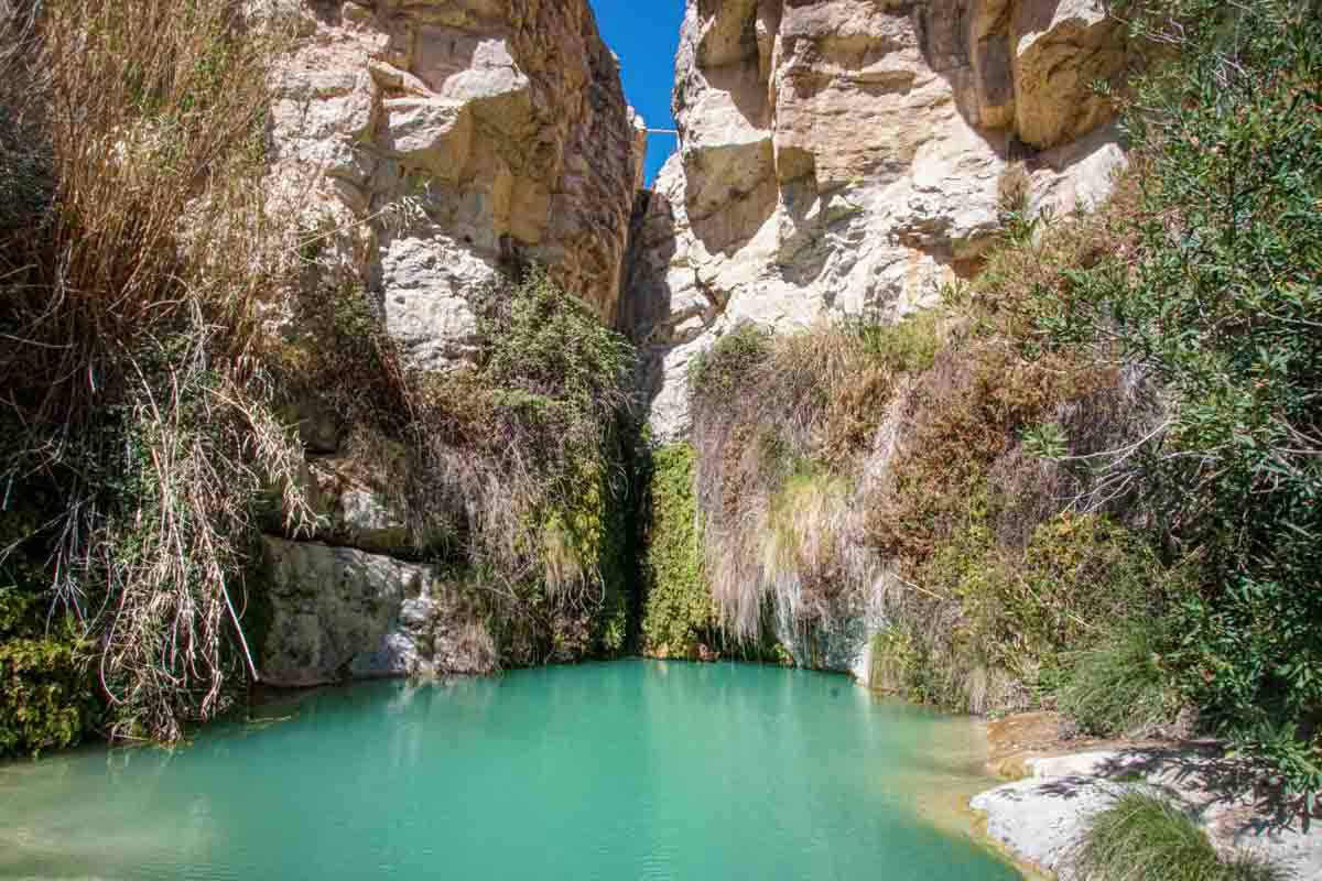 Salt de Jijona – Complete Guide