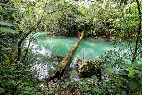 Swim in the river and feel refreshed!