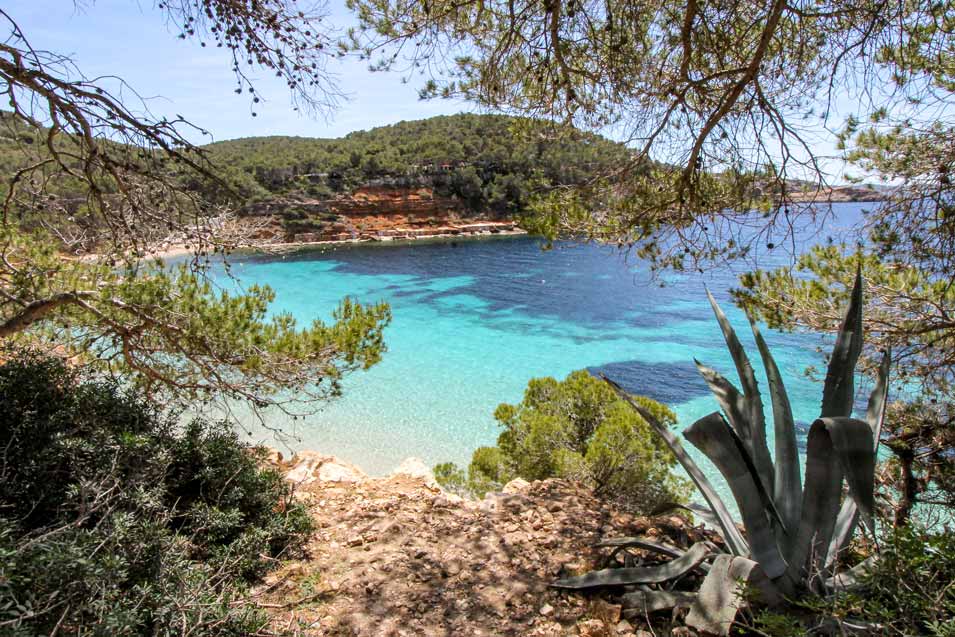 Cala-Salada nature