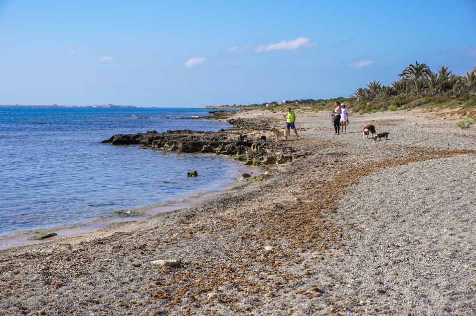 dog beach on Playa-del-Carabassi---