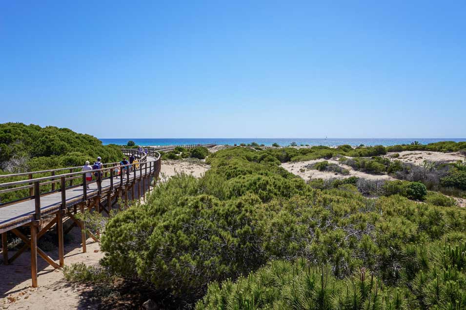 Playa-del-Carabassi--wooden walkways