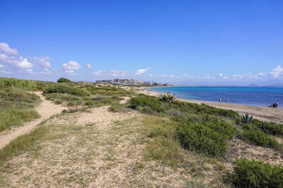 Playa-del-Carabassi-dunes--swimming beaches