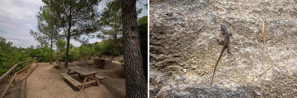 route-Los-Chorradores-de-Navarrés