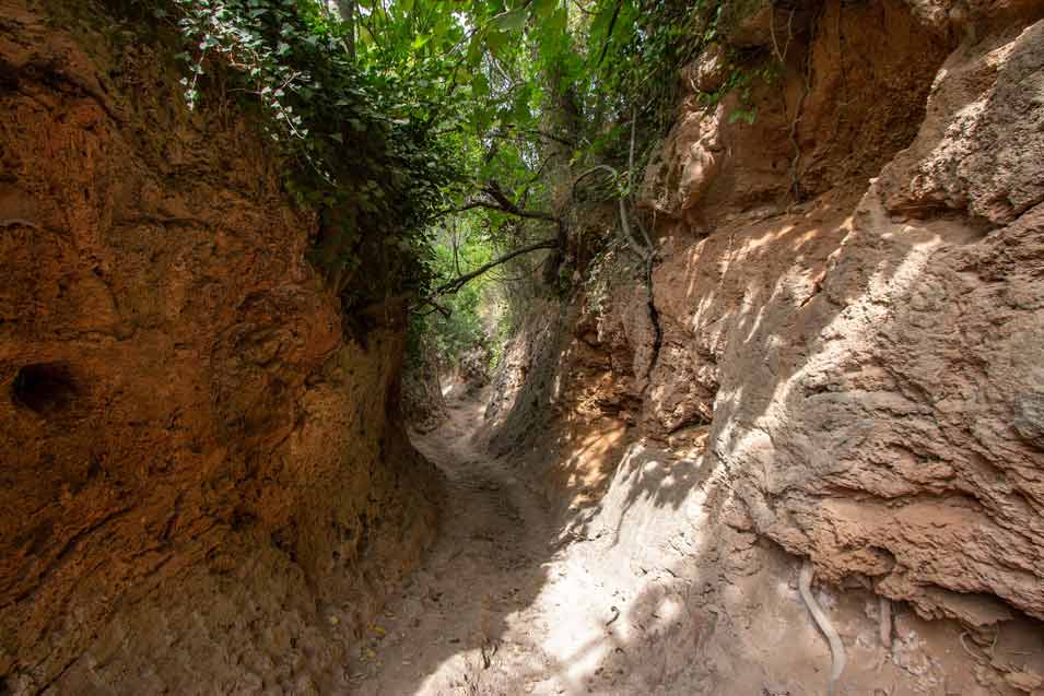 path to chorradores-de-navarres