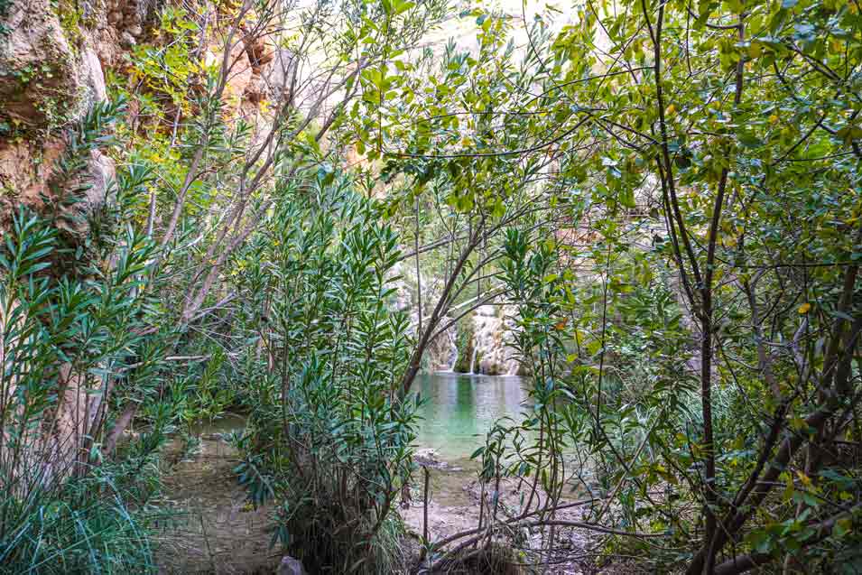 swimming hole under bridge