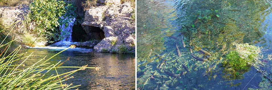 cascade and fish in Azud de Tuéjar