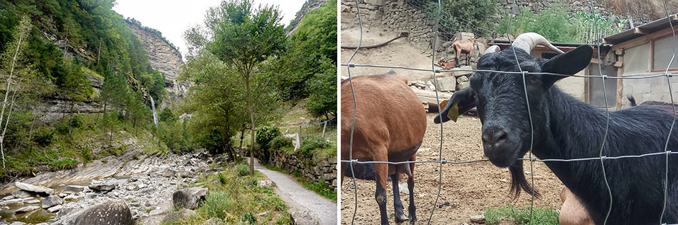 getting from broto to cascada de sorrosal