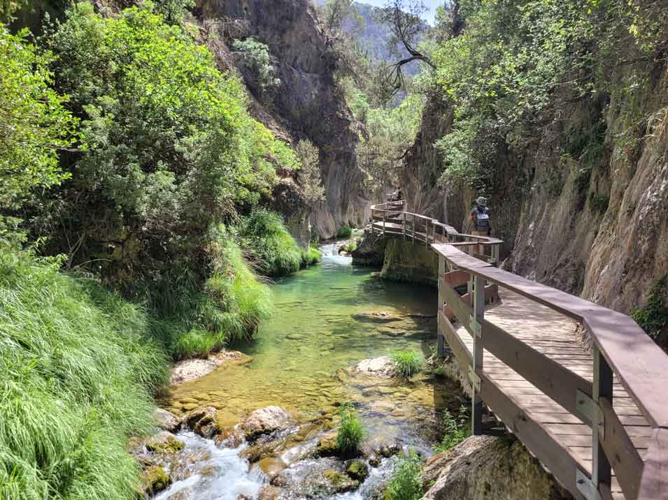 wooden walkways borosa river